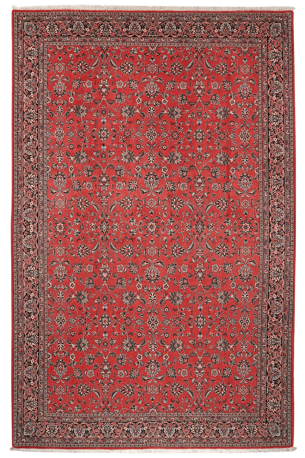 Bidjar — Hand-knotted, 205x313 cm, Red, 100% Virgin Wool | Main view