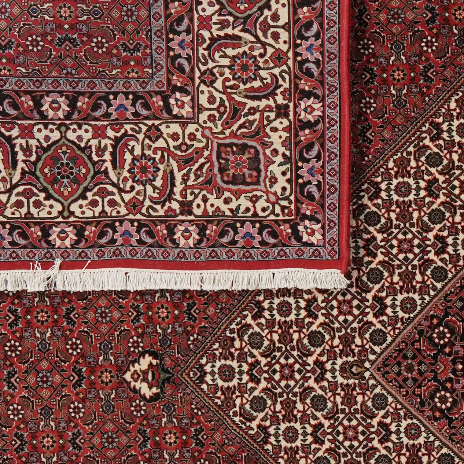 Bidjar — Hand-knotted, 256x311 cm, Red, 100% Virgin Wool | View 6