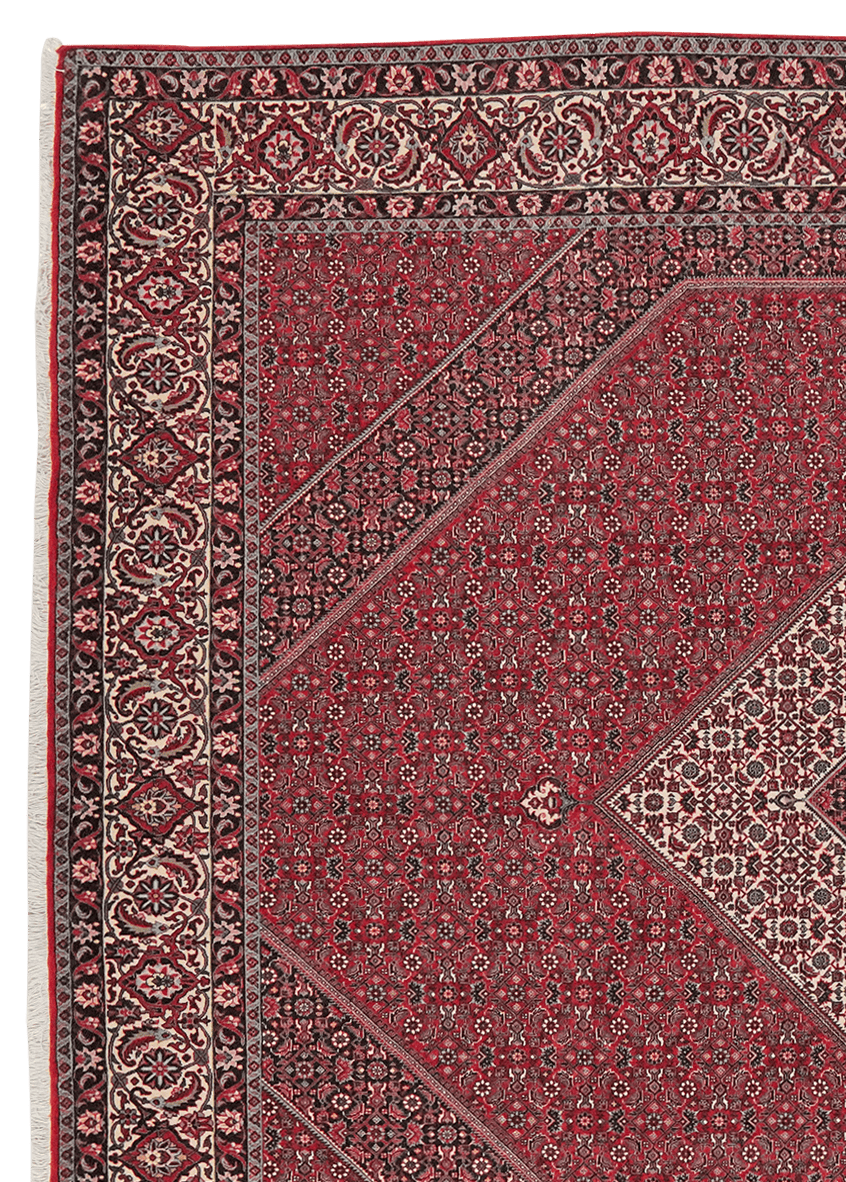 Bidjar — Hand-knotted, 252x308 cm, Red, 100% Virgin Wool | View 3