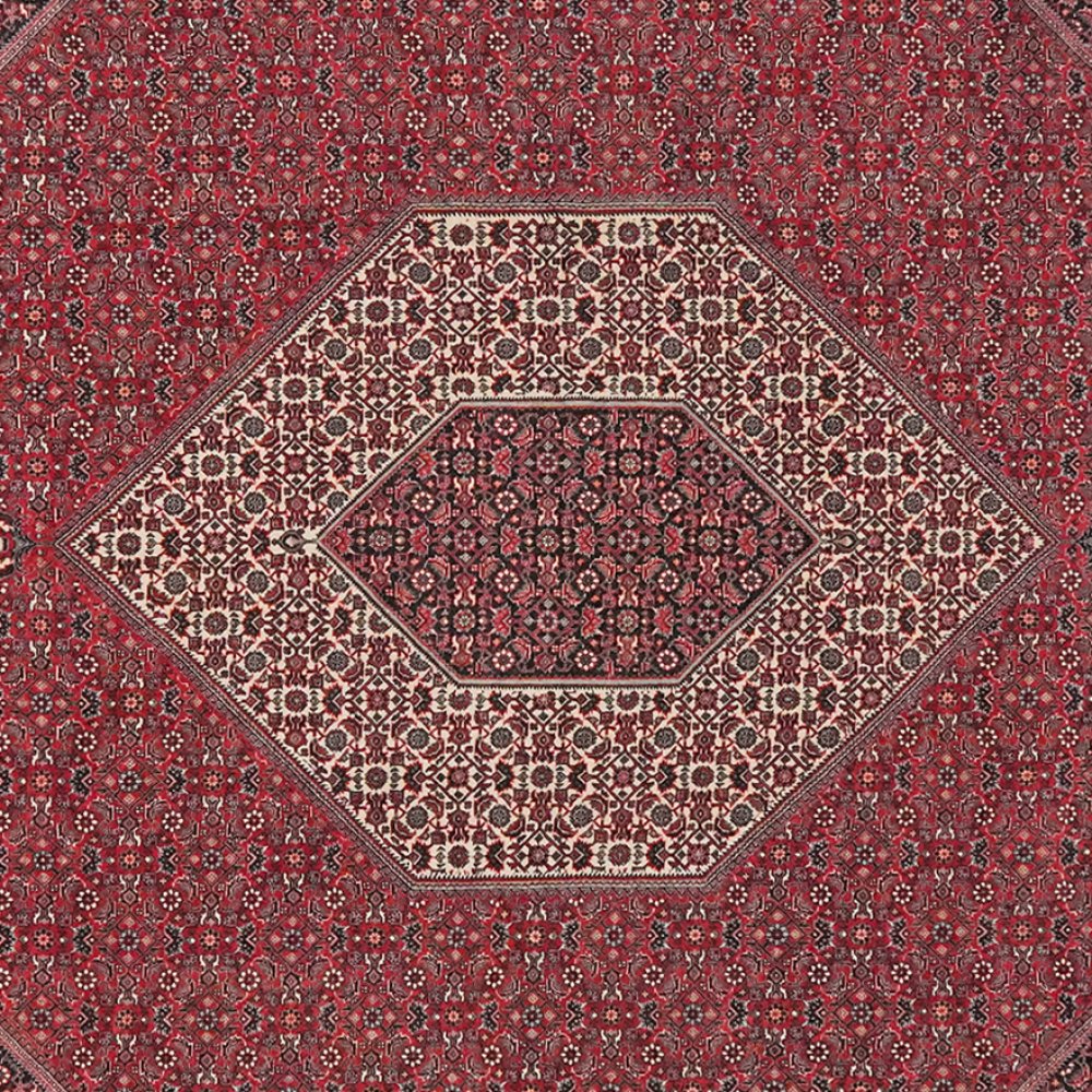 Bidjar — Hand-knotted, 252x308 cm, Red, 100% Virgin Wool | View 4