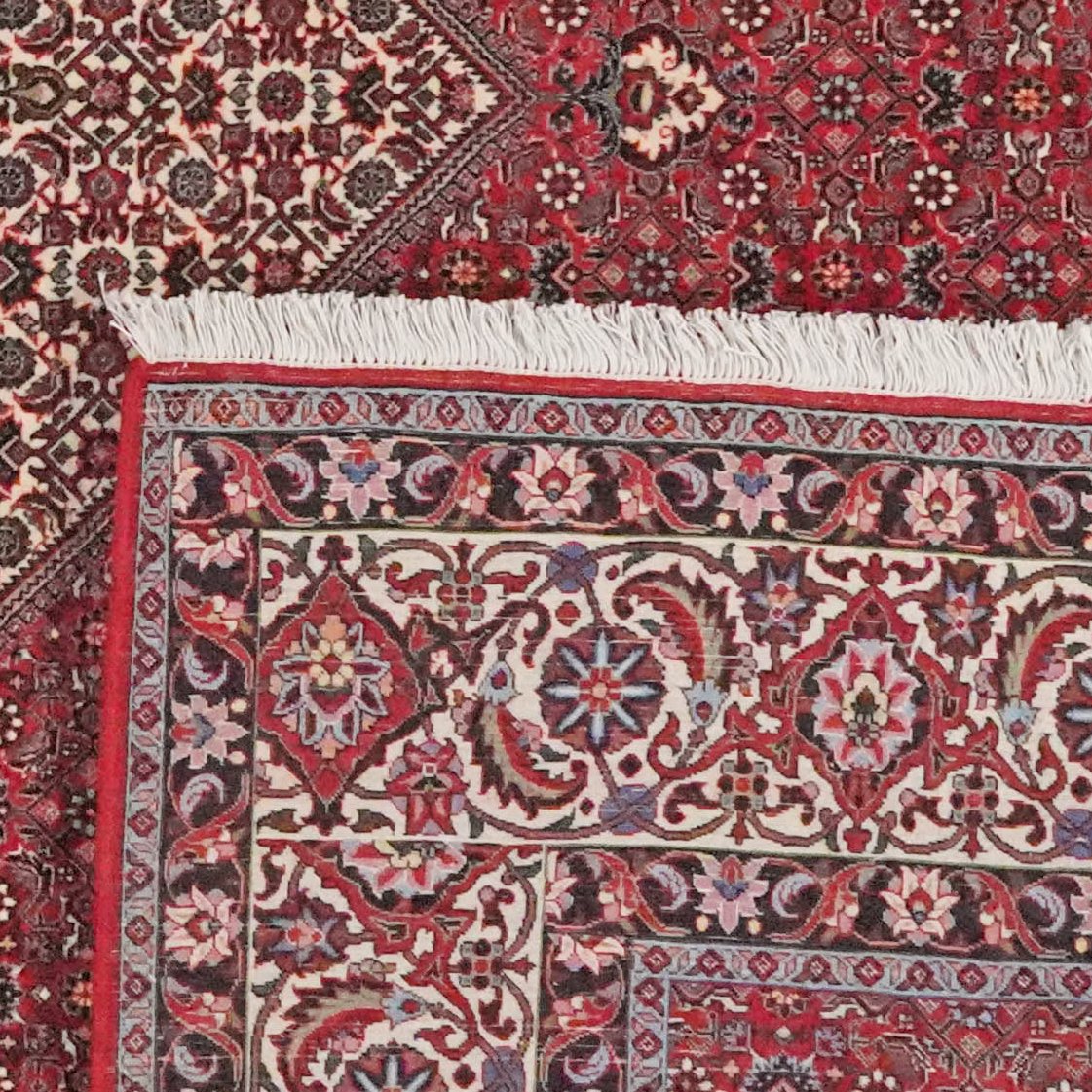 Bidjar — Hand-knotted, 252x308 cm, Red, 100% Virgin Wool | View 6