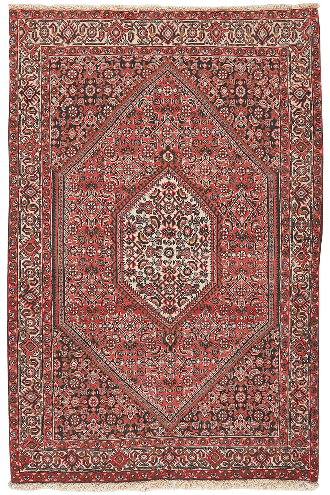 Bidjar Tekkab — Hand-knotted, 93x140 cm, Red, 100% Virgin Wool | Main view