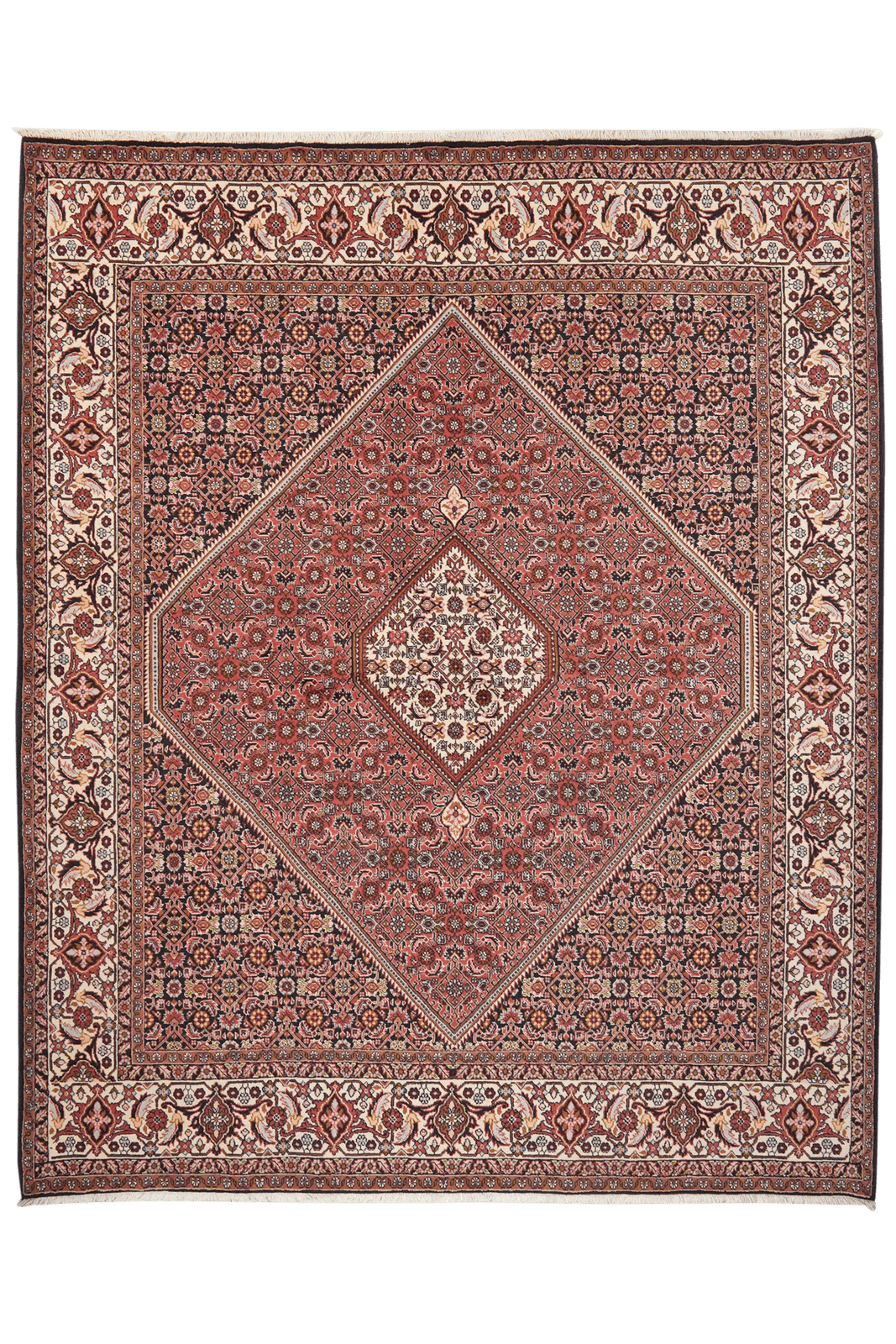Bidjar — Hand-knotted, 204x246 cm, Beige, 100% Virgin Wool | Main view