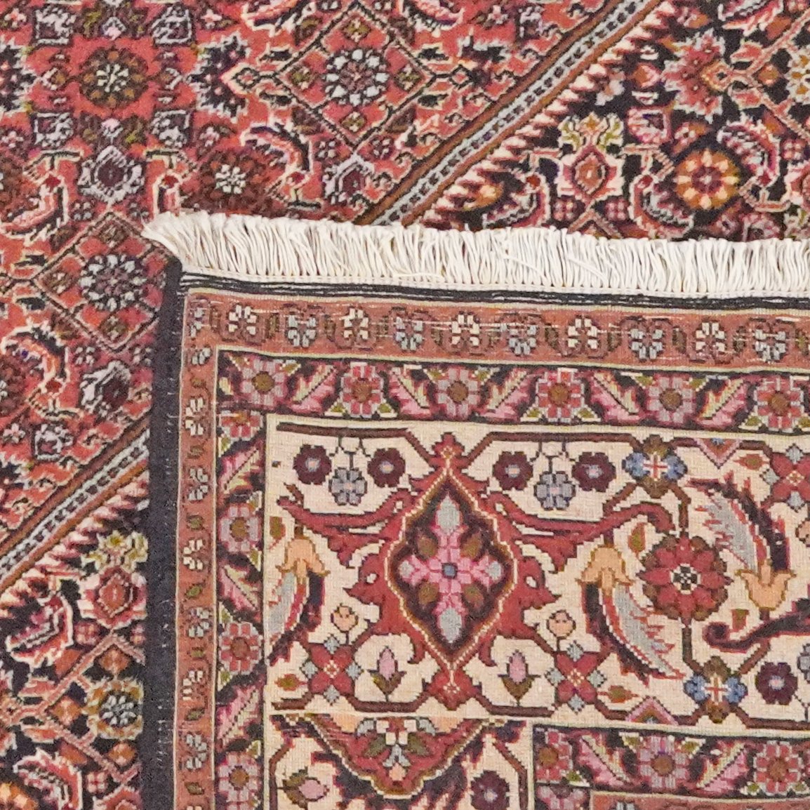 Bidjar — Hand-knotted, 204x246 cm, Beige, 100% Virgin Wool | View 6