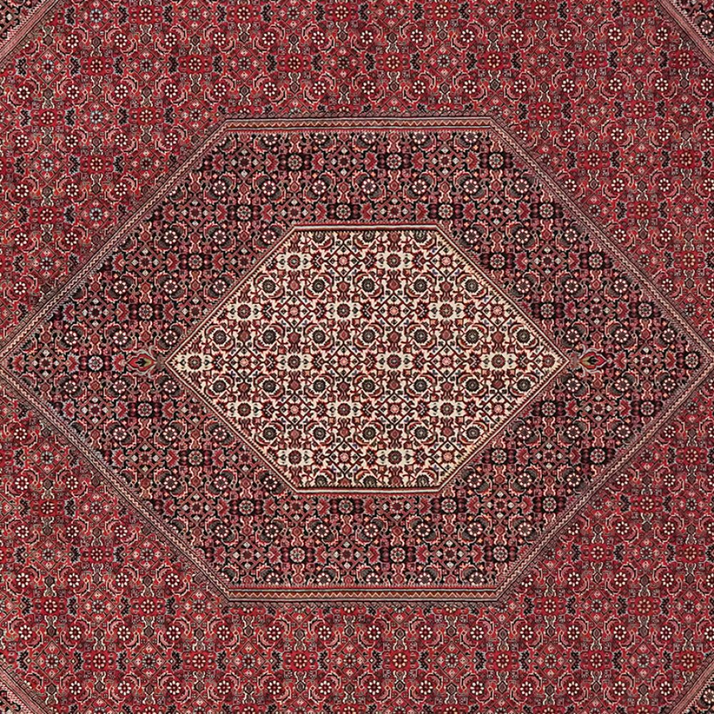 Bidjar — Hand-knotted, 254x308 cm, Red, 100% Virgin Wool | View 4
