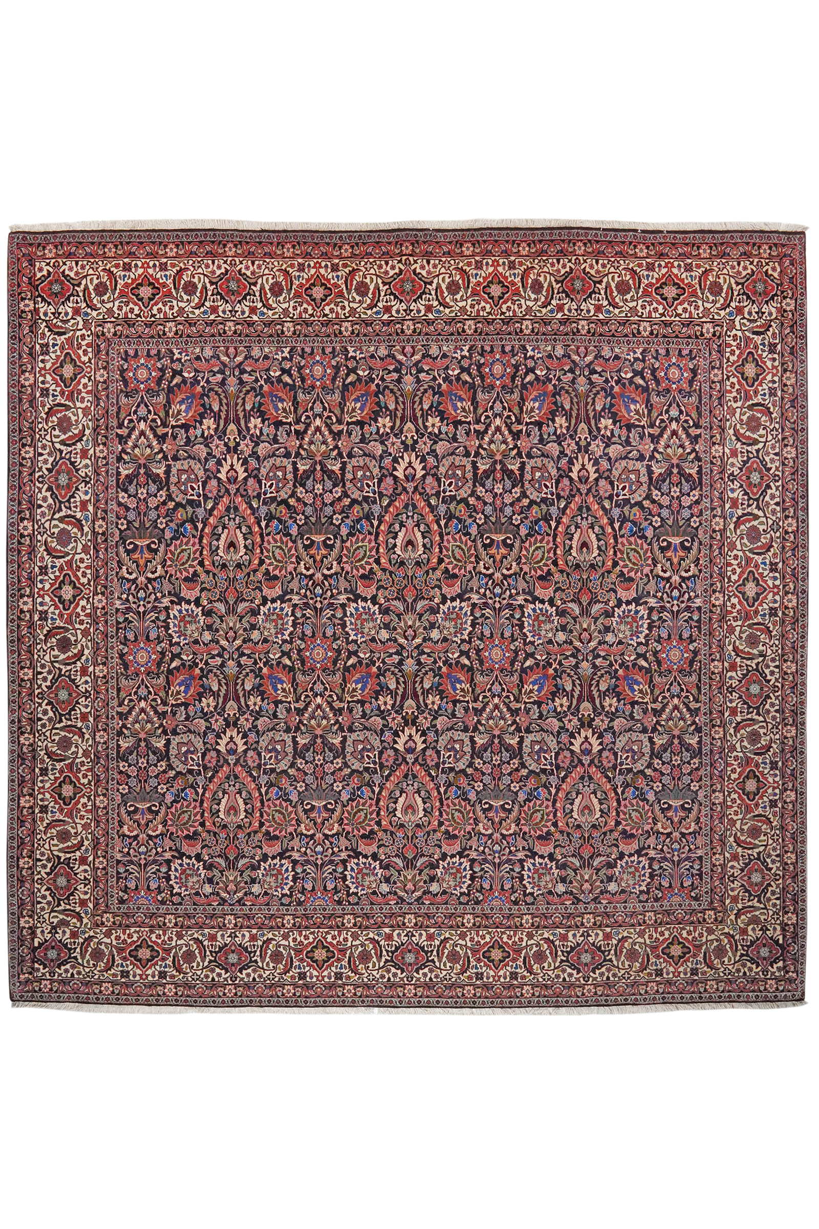 Bidjar — Handgefertigt, 250x256 cm, Beige, 100% Virgin Wool | Main view