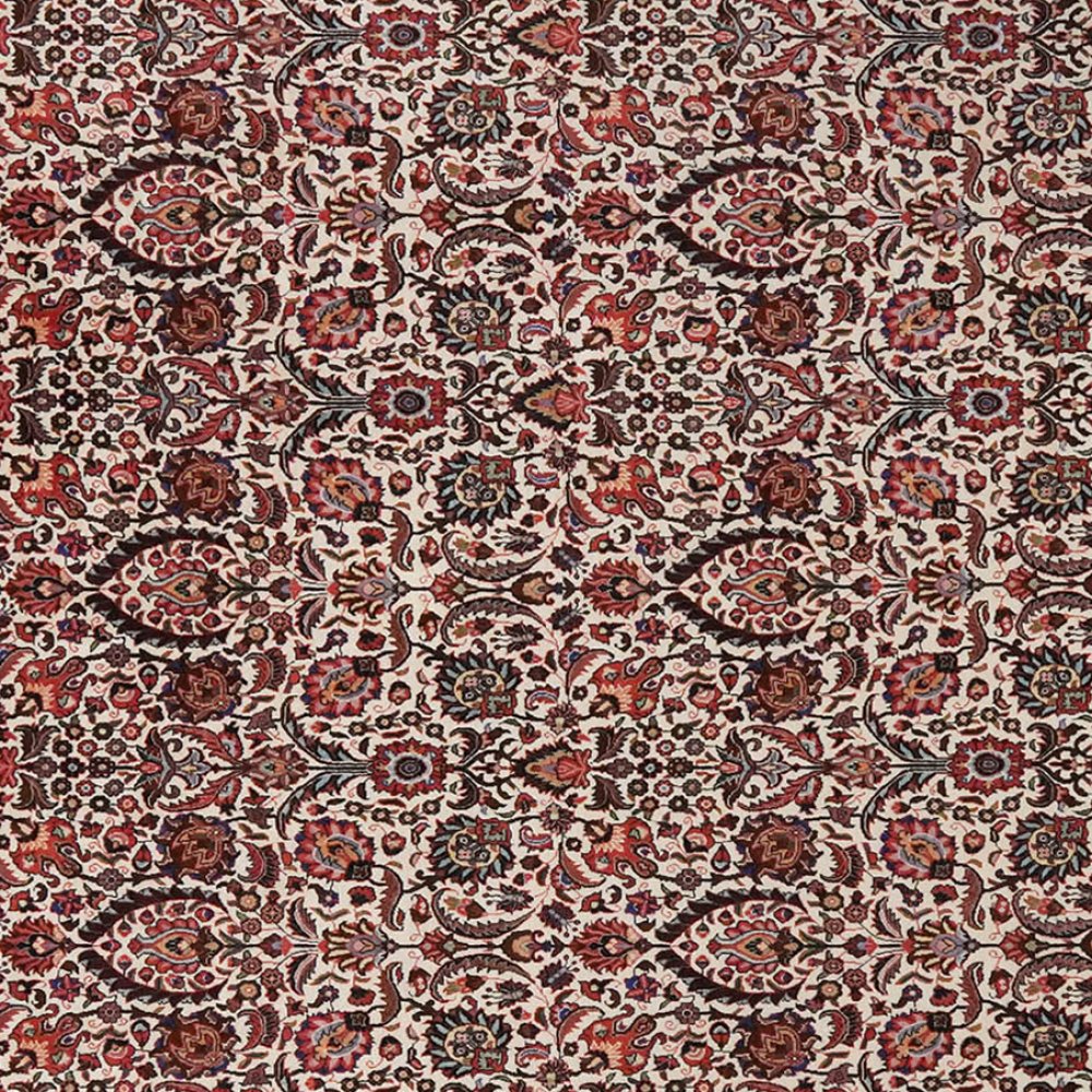 Bidjar — Hand-knotted, 259x347 cm, Beige, 100% Virgin Wool | View 4