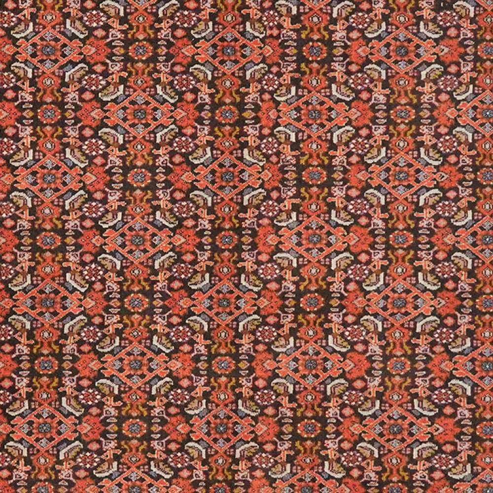 Bidjar — Hand-knotted, 114x176 cm, Blue, 100% Virgin Wool | View 4