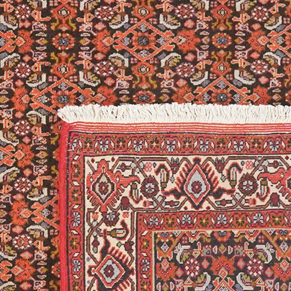 Bidjar — Hand-knotted, 114x176 cm, Blue, 100% Virgin Wool | View 6