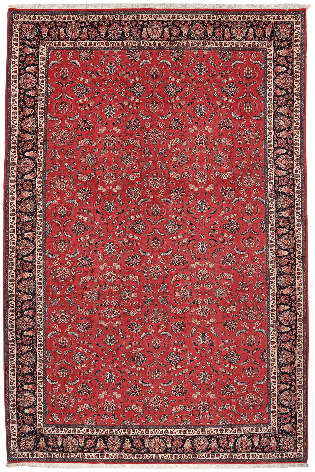 Bidjar — Hand-knotted, 206x309 cm, Red, 100% Virgin Wool | Main view