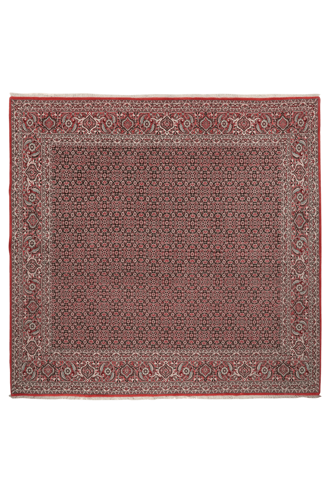 Bidjar — Hand-knotted, 257x249 cm, Blue, 90% Schurwolle, 10% Seide | Main view