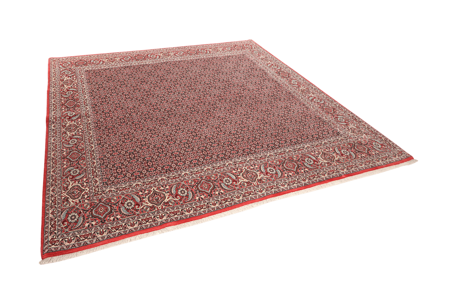 Bidjar — Hand-knotted, 257x249 cm, Blue, 90% Schurwolle, 10% Seide | View 5