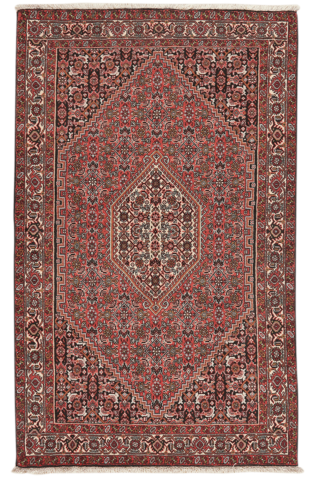 Bidjar Tekkab — Hand-knotted, 92x155 cm, Red, 100% Virgin Wool | Main view