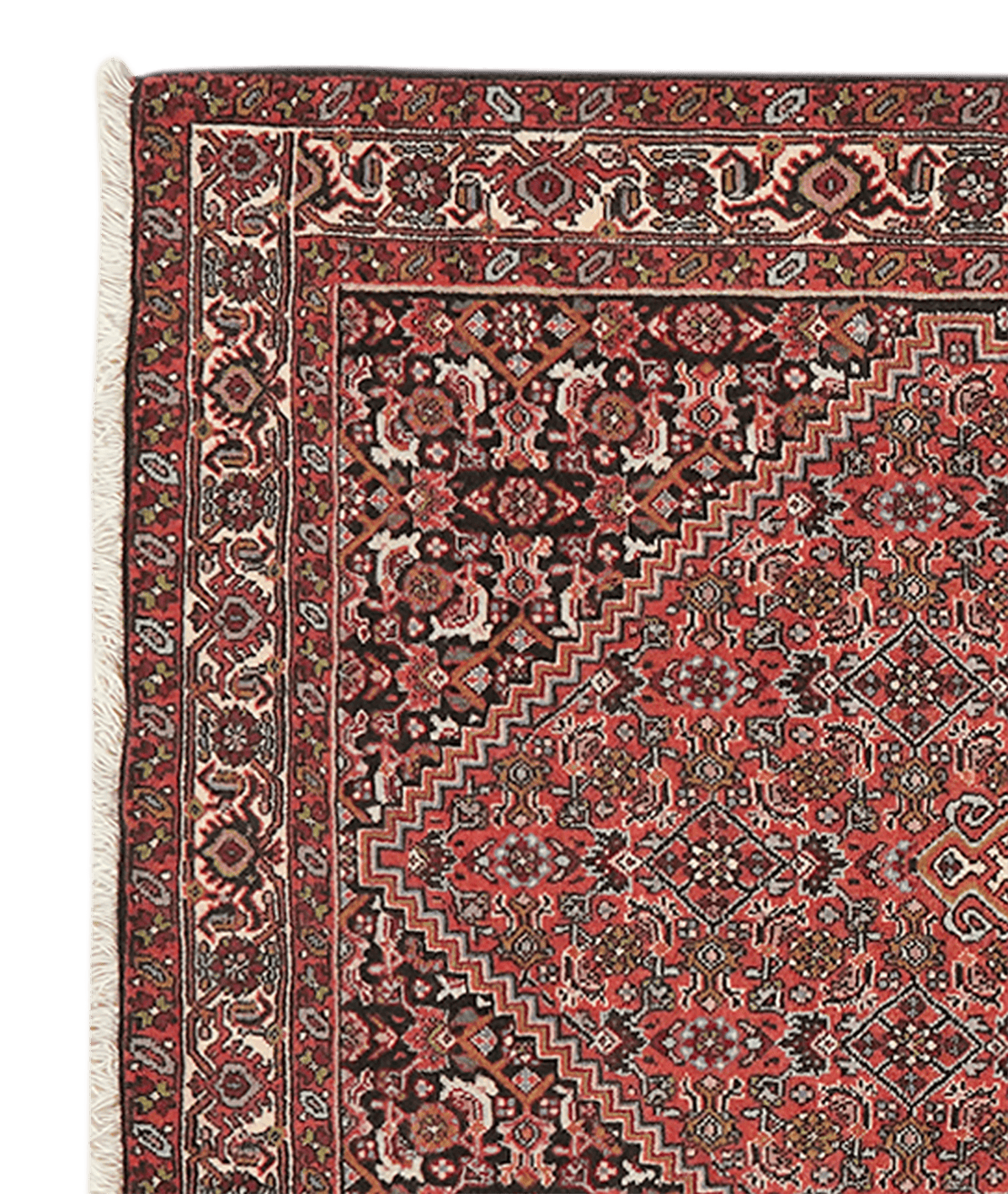 Bidjar Tekkab — Hand-knotted, 92x155 cm, Red, 100% Virgin Wool | View 3