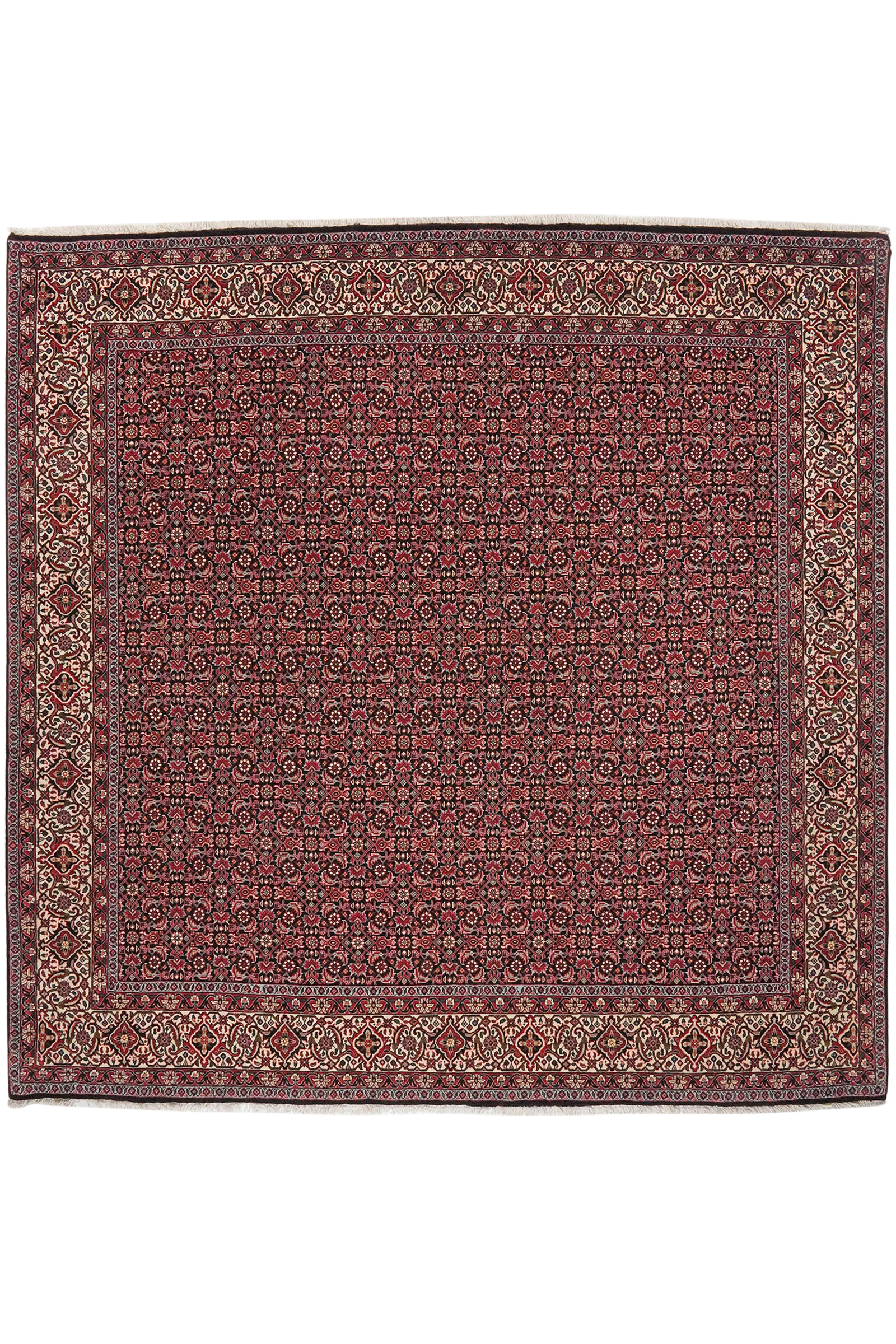 Bidjar Bookan — Handgefertigt, 204x204 cm, Beige, 95% Schurwolle, 5% Seide | Main view