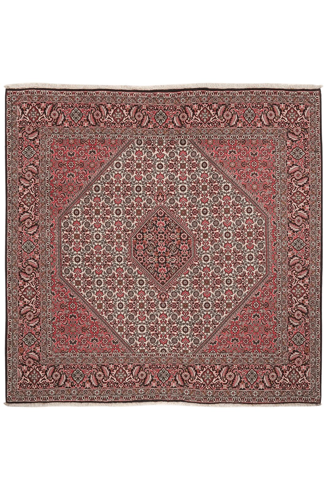 Bidjar Zandjan — Hand-knotted, 202x197 cm, Beige, 100% Virgin Wool | Main view