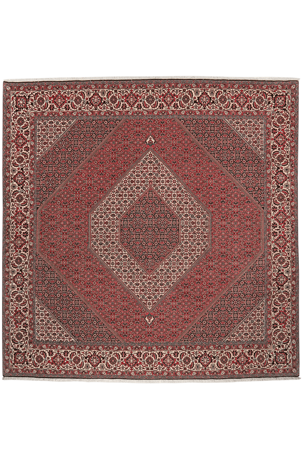 Bidjar Bookan — Hand-knotted, 249x256 cm, Red, 100% Virgin Wool | Main view