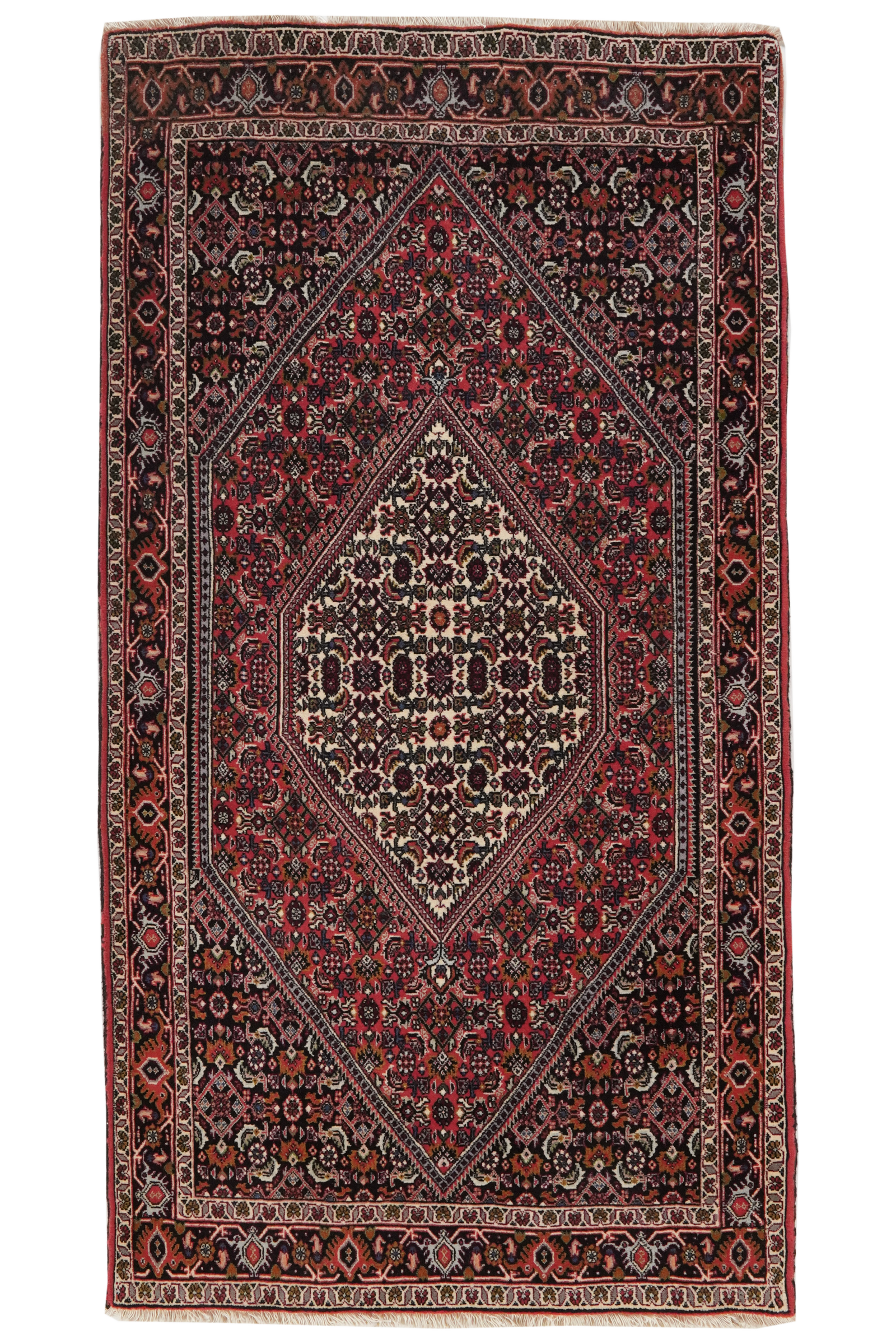Bidjar Tekkab — Handgefertigt, 172x91 cm, Blau, 100% Virgin Wool | Main view