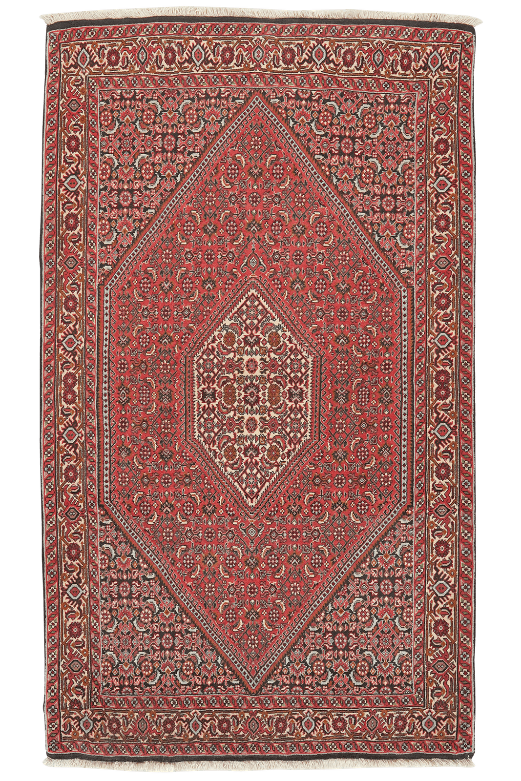Bidjar Tekkab — Hand-knotted, 94x162 cm, Red, 100% Virgin Wool | Main view
