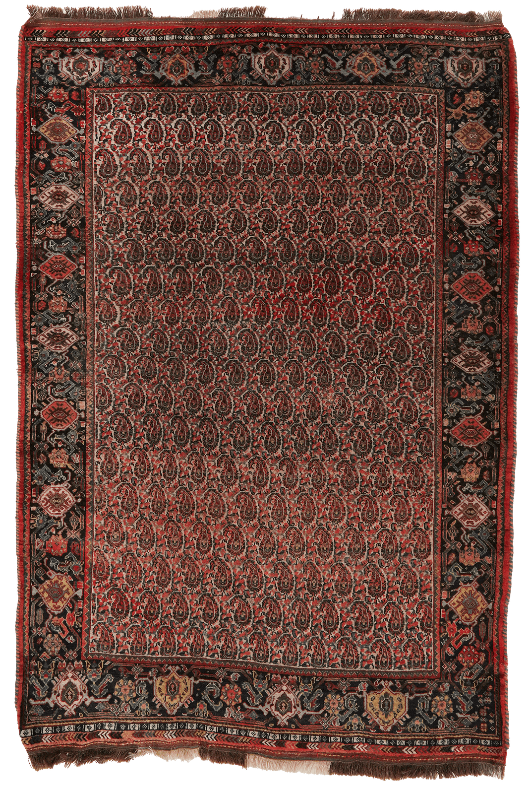 Gashgai — Hand-knotted, 117x165 cm, Beige, 100% Virgin Wool | Main view