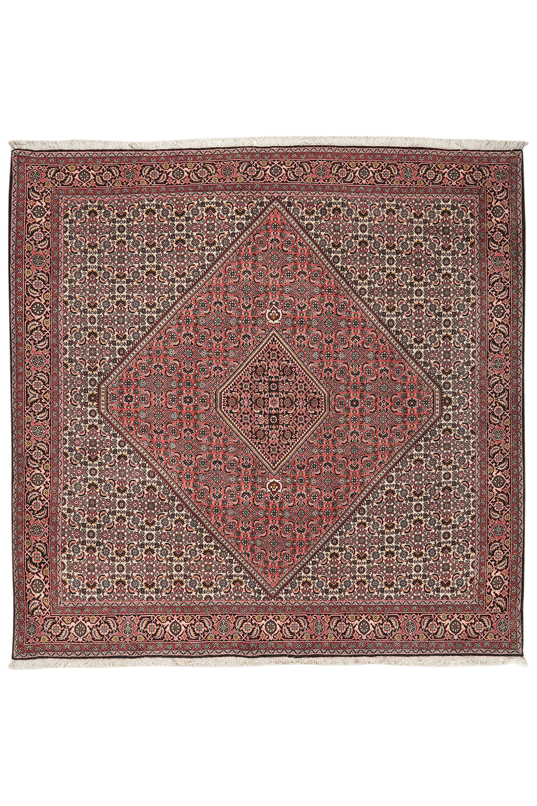Bidjar Zandjan — Hand-knotted, 203x202 cm, Red, 100% Virgin Wool | Main view