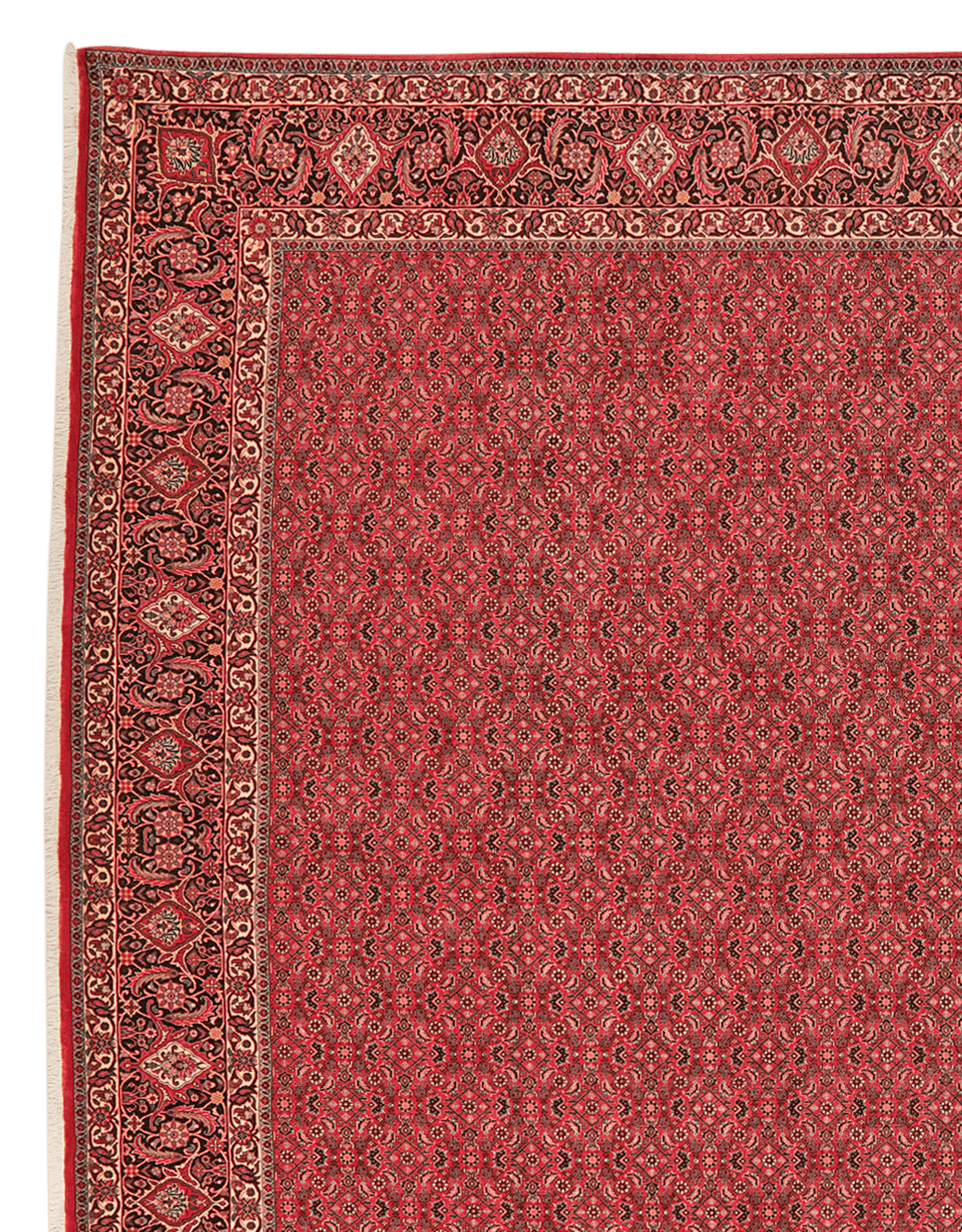 Bidjar — Hand-knotted, 301x397 cm, Red, 90% Schurwolle, 10% Seide | View 3