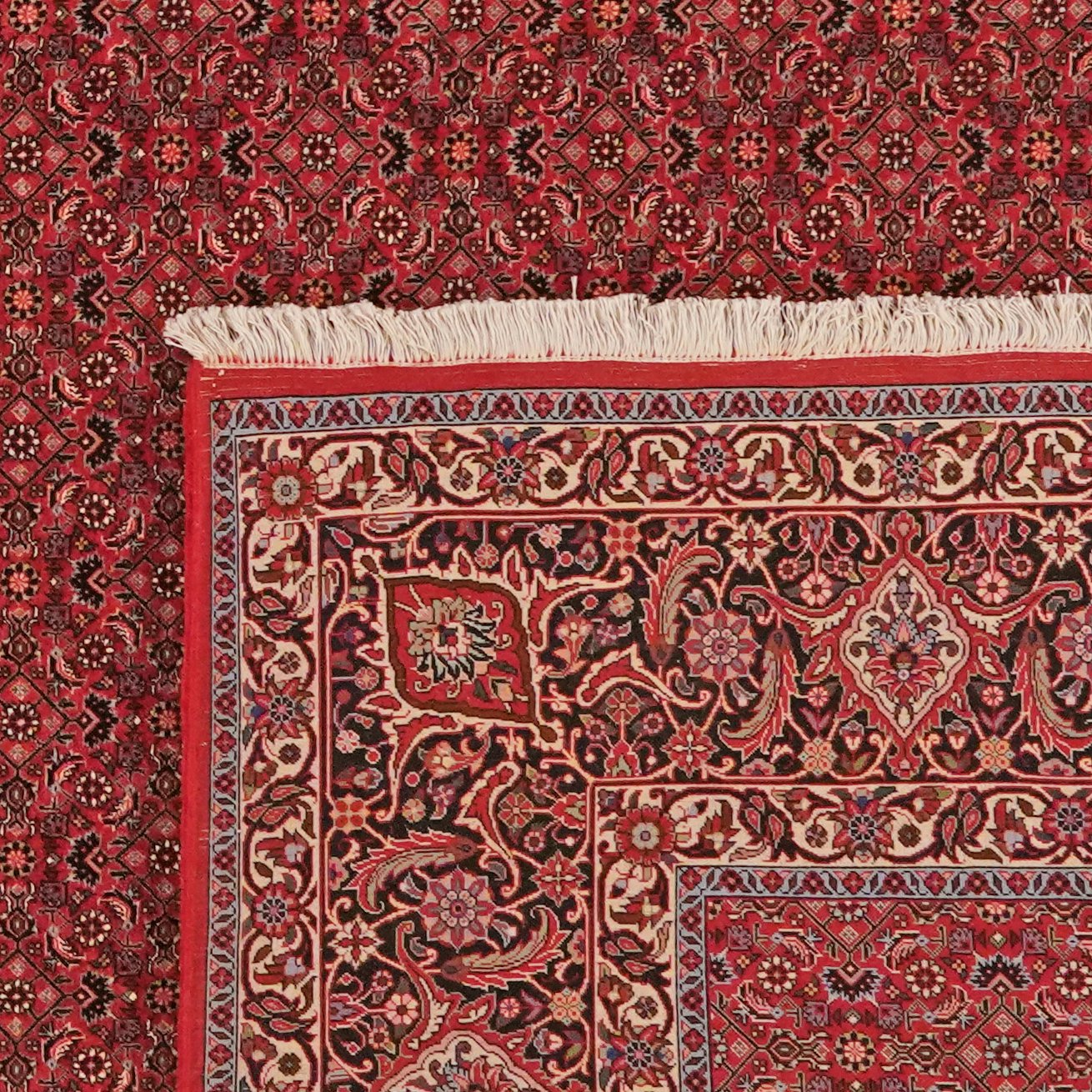 Bidjar — Hand-knotted, 301x397 cm, Red, 90% Schurwolle, 10% Seide | View 6