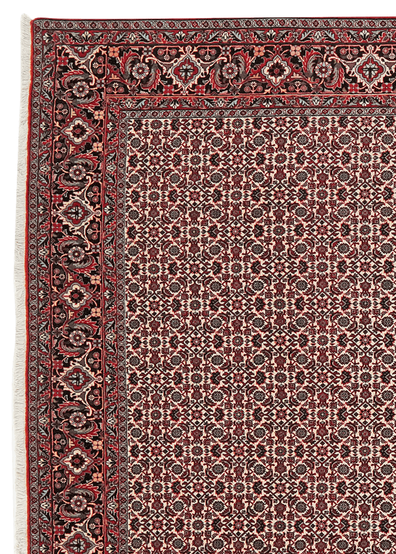 Bidjar — Hand-knotted, 203x293 cm, Beige, 100% Virgin Wool | View 3