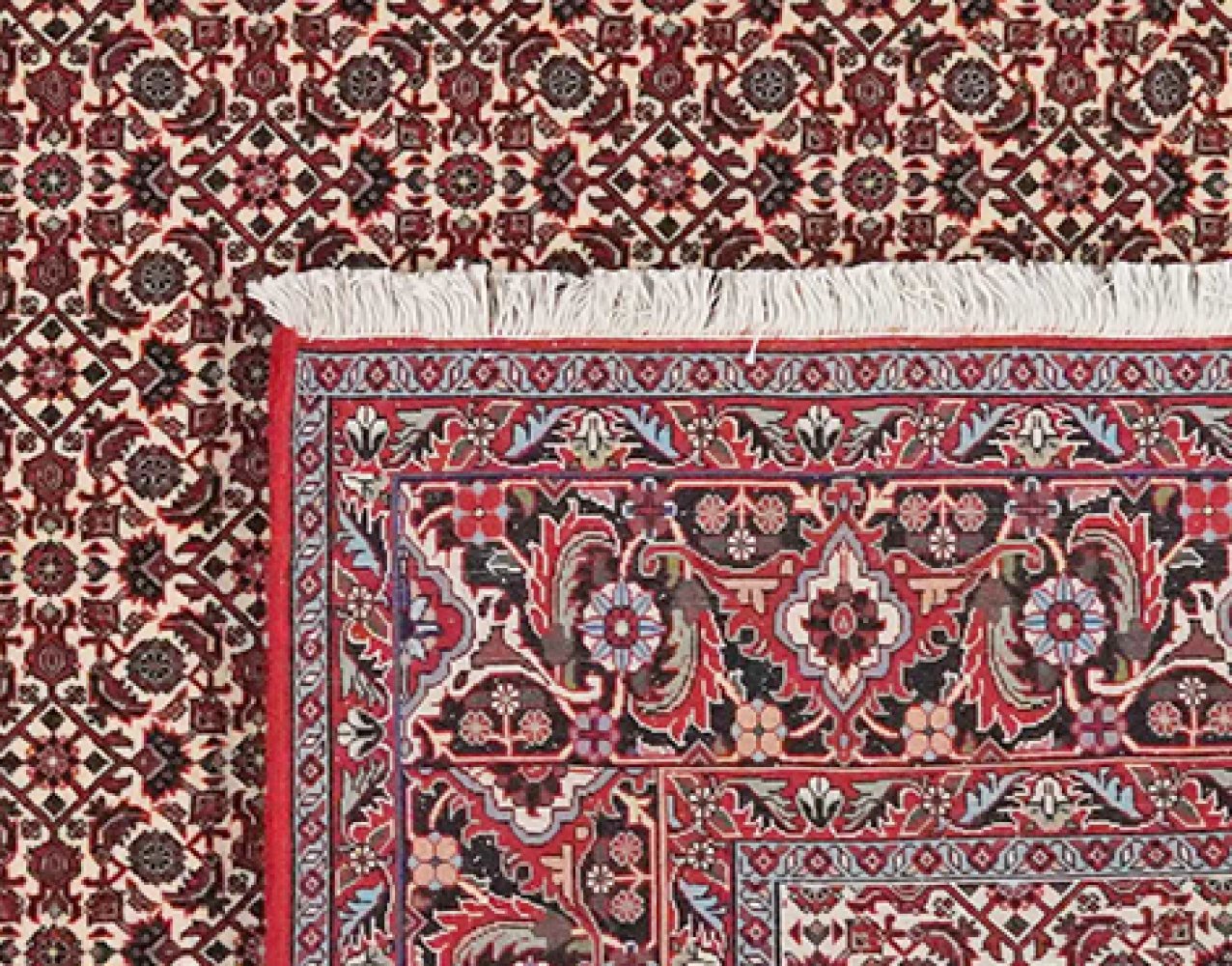 Bidjar — Hand-knotted, 203x293 cm, Beige, 100% Virgin Wool | View 6