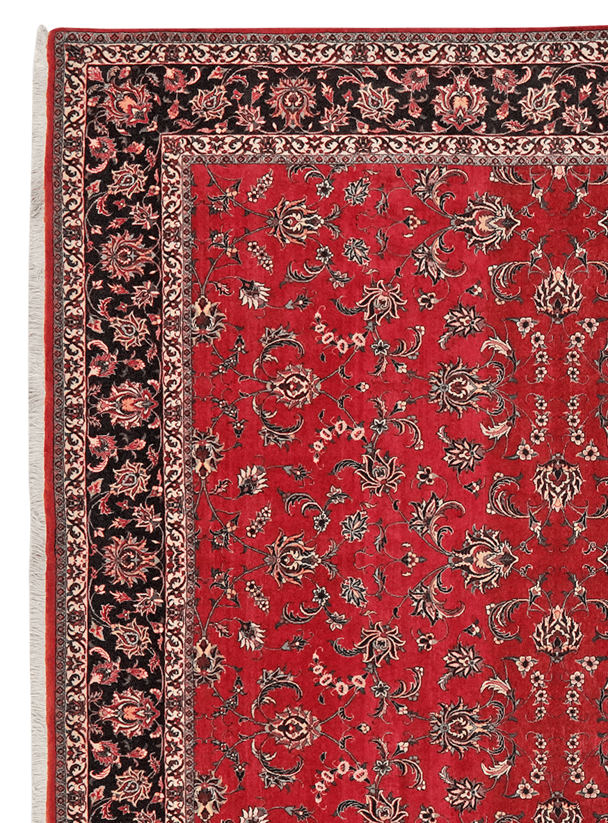 Bidjar — Hand-knotted, 251x311 cm, Red, 100% Virgin Wool | View 3
