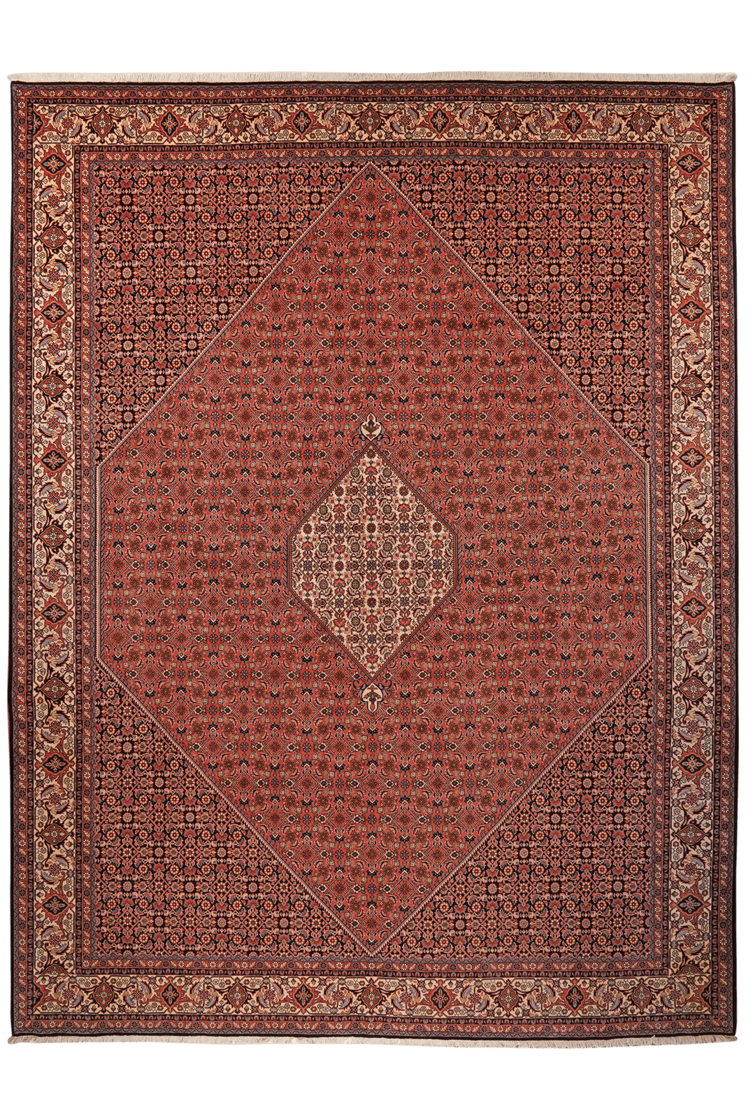 Bidjar Zandjan — Hand-knotted, 298x393 cm, Red, 100% Virgin Wool | Main view