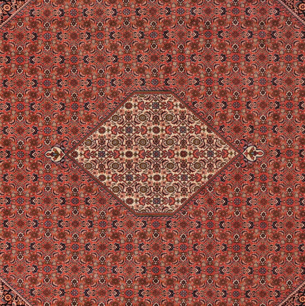 Bidjar Zandjan — Hand-knotted, 298x393 cm, Red, 100% Virgin Wool | View 4